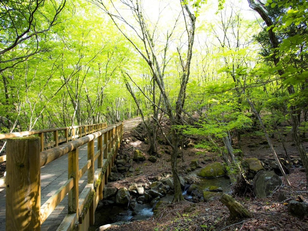 Mineyama Kogen Hotel Relaxia Kamikawa  Buitenkant foto